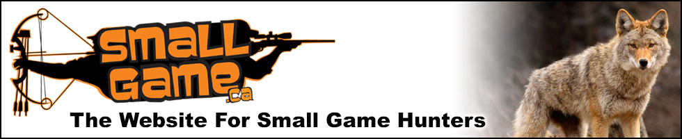 SmallGame.ca