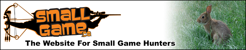 SmallGame.ca
