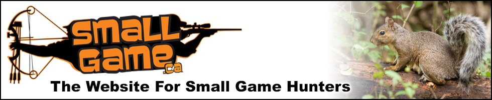 SmallGame.ca