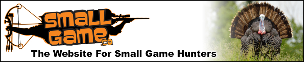 SmallGame.ca
