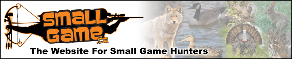 SmallGame.ca
